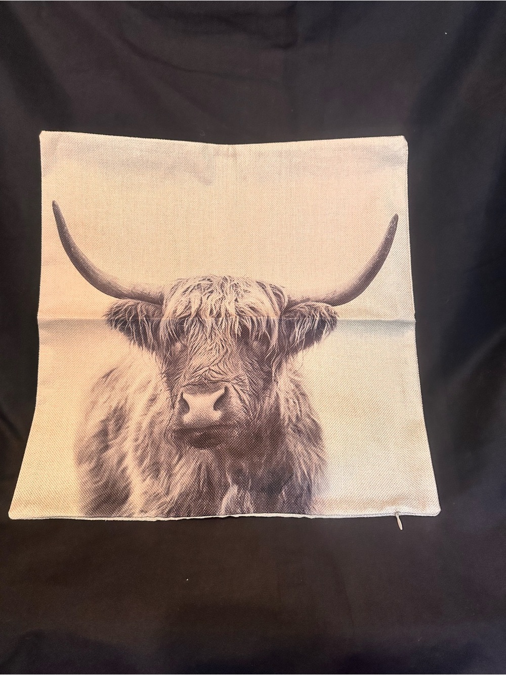 F-22 Highland Cow Decorative Throw Pillow Covers in Cream and Brown, set of 2.